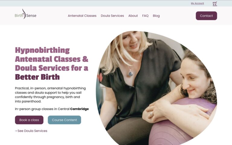 Website image for birthsense.co.uk