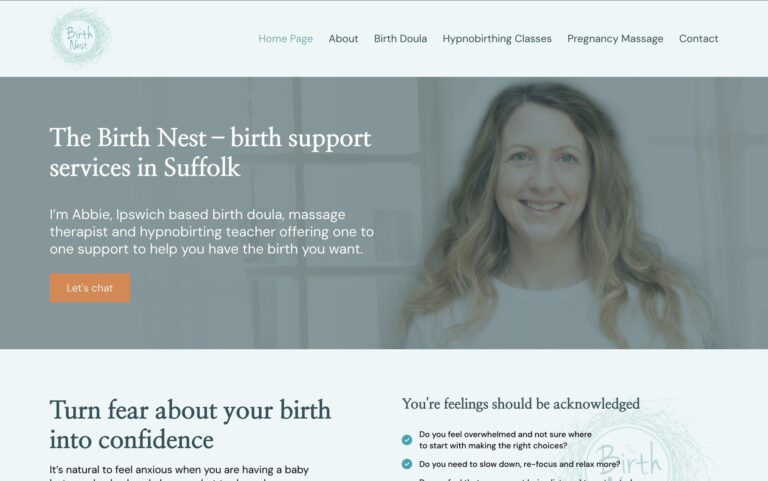 Website image for thebirthnest.co.uk
