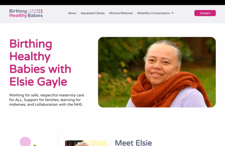 Website image for Birthing Healthy Babies